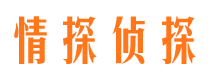 抚远市调查公司